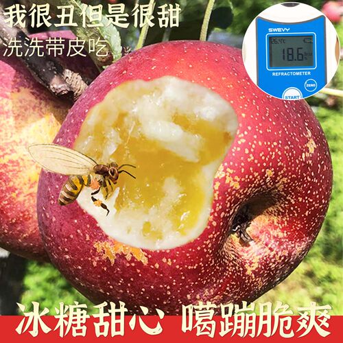 【官方推荐！】顺丰冰糖心丑苹果