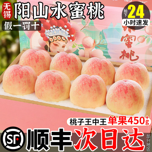 阳山水蜜桃官方授权品质保障