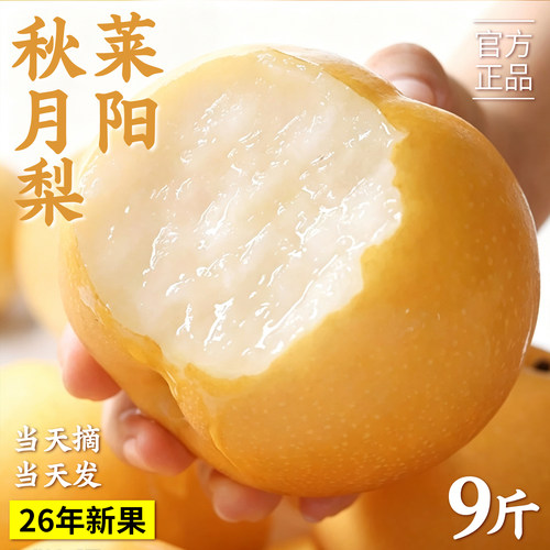 山东秋月梨特大果9斤