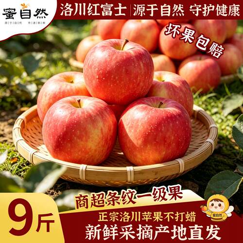 【官方正品推荐】洛川红富士苹果