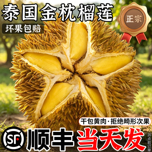 包6房！正宗金枕榴莲顺丰当天发