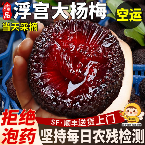 【空运次日达】杨梅鲜果当天采摘