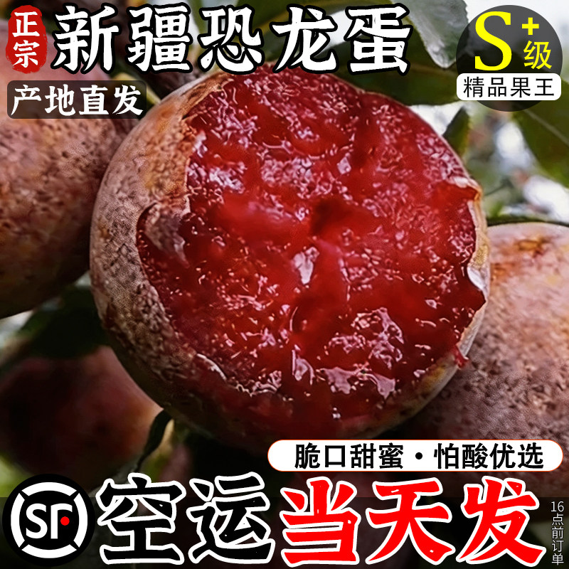 【空运次日达】恐龙蛋新疆直发