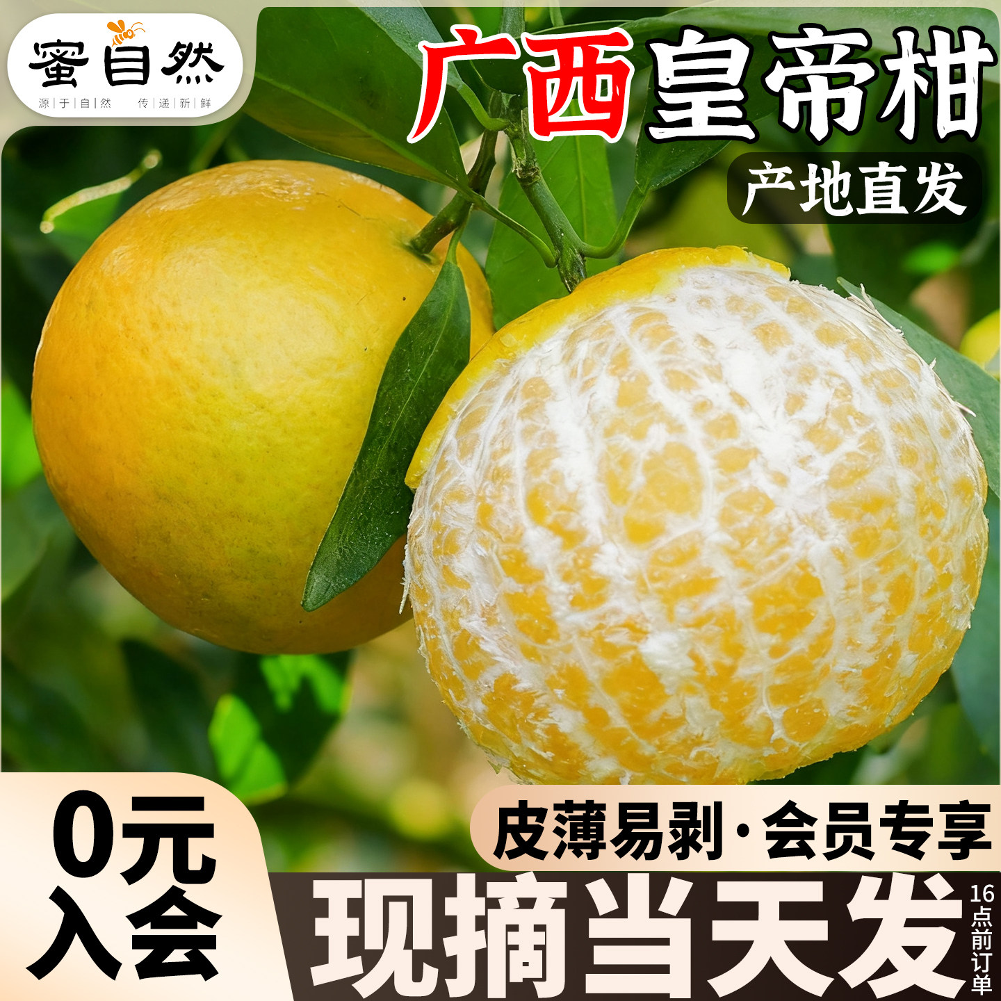 【会员专享】5斤皇帝柑试吃尝鲜