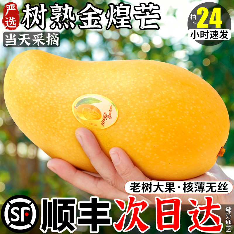 顺丰 海南金煌芒20斤芒果新鲜大果现摘妃水仙芒贵整箱礼盒包邮