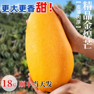 顺丰礼盒正宗海南金煌芒新鲜水果芒果当季整箱现摘大果甜18斤包邮