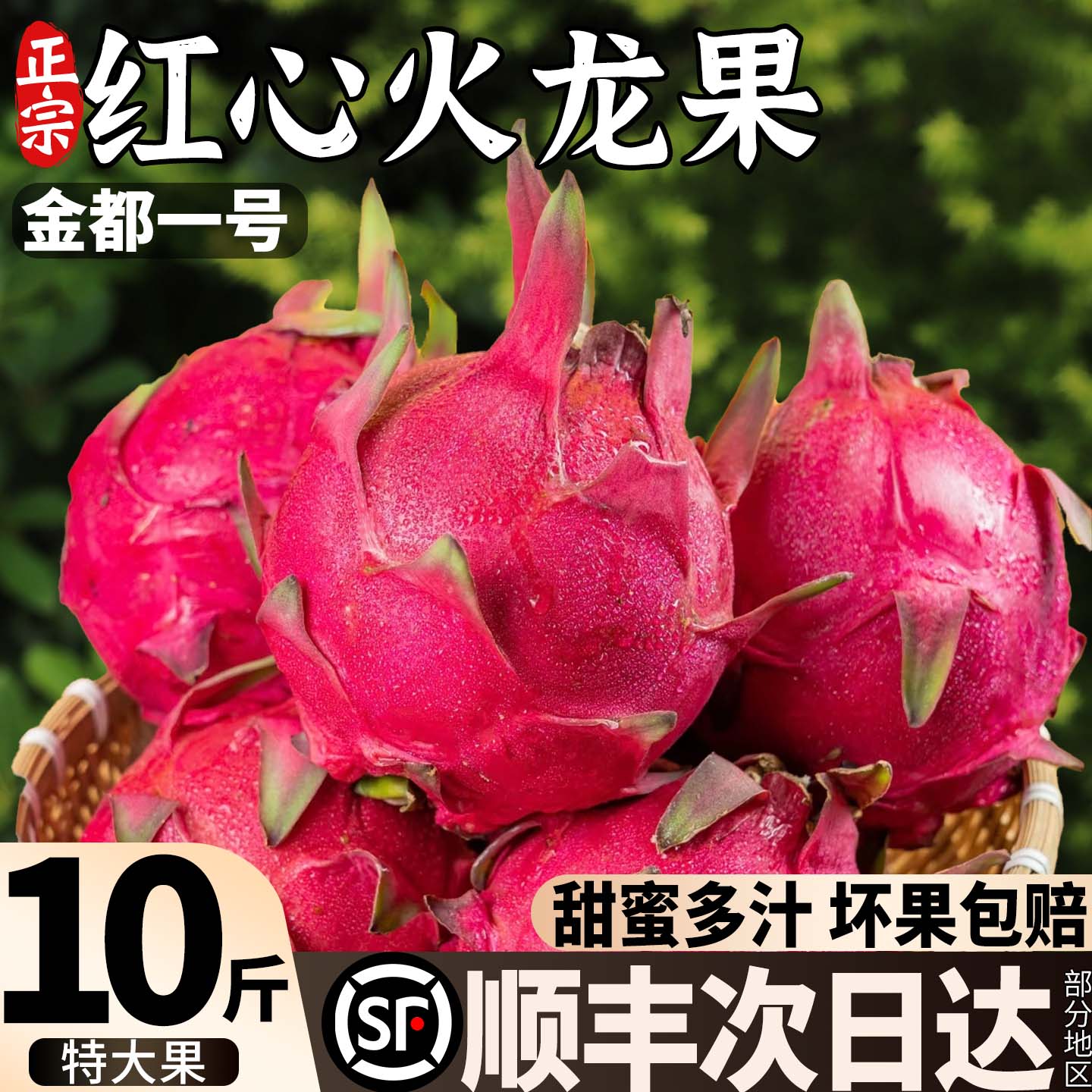【金都一号】红心火龙果特大果