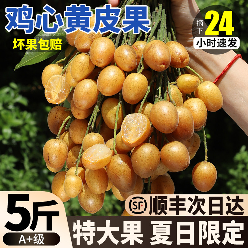 顺丰广东鸡心黄皮果新鲜水果黄弹子黄皮水果当季现摘孕妇整箱包邮