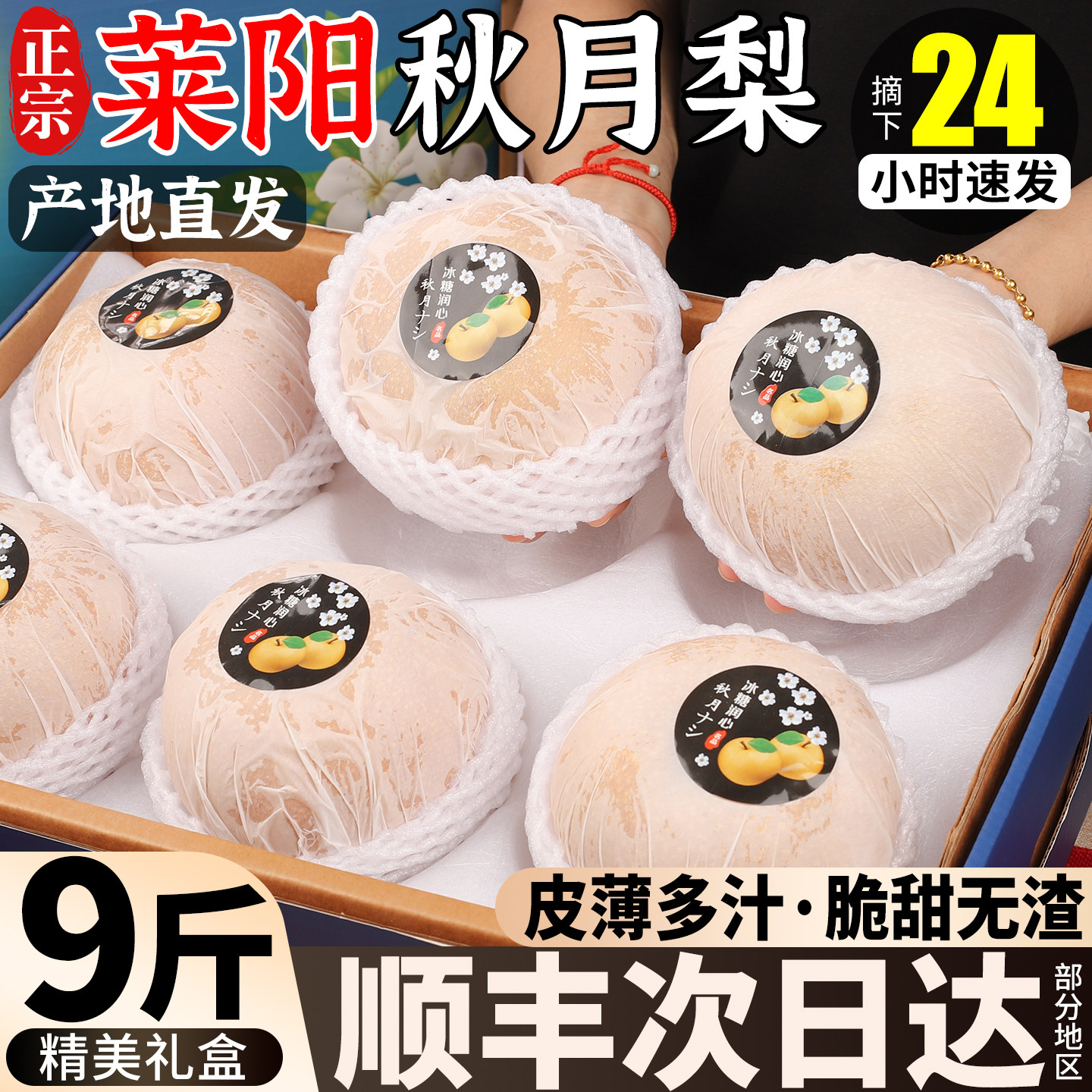 顺丰次日达丨正宗山东莱阳秋月梨