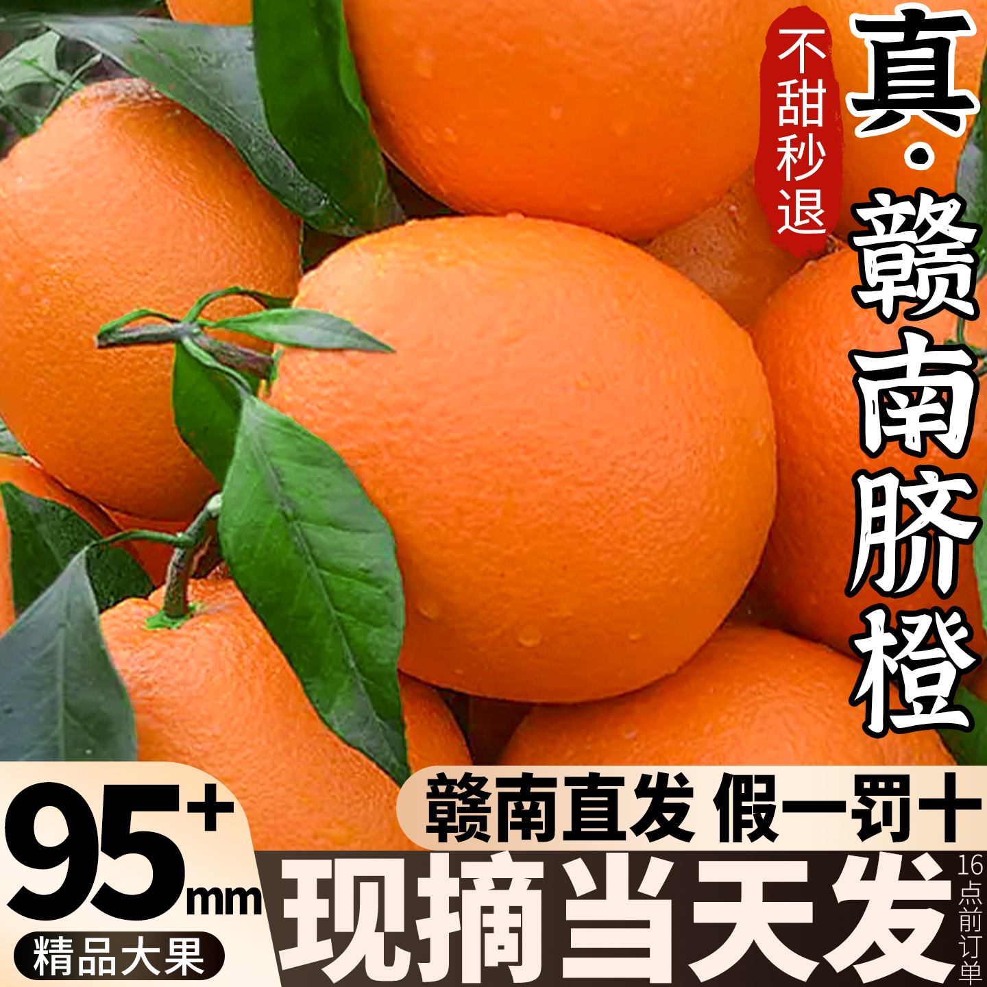 【当季新果】正宗赣南脐橙