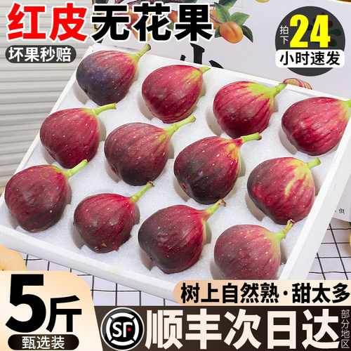 顺丰包邮丨云南红皮无花果