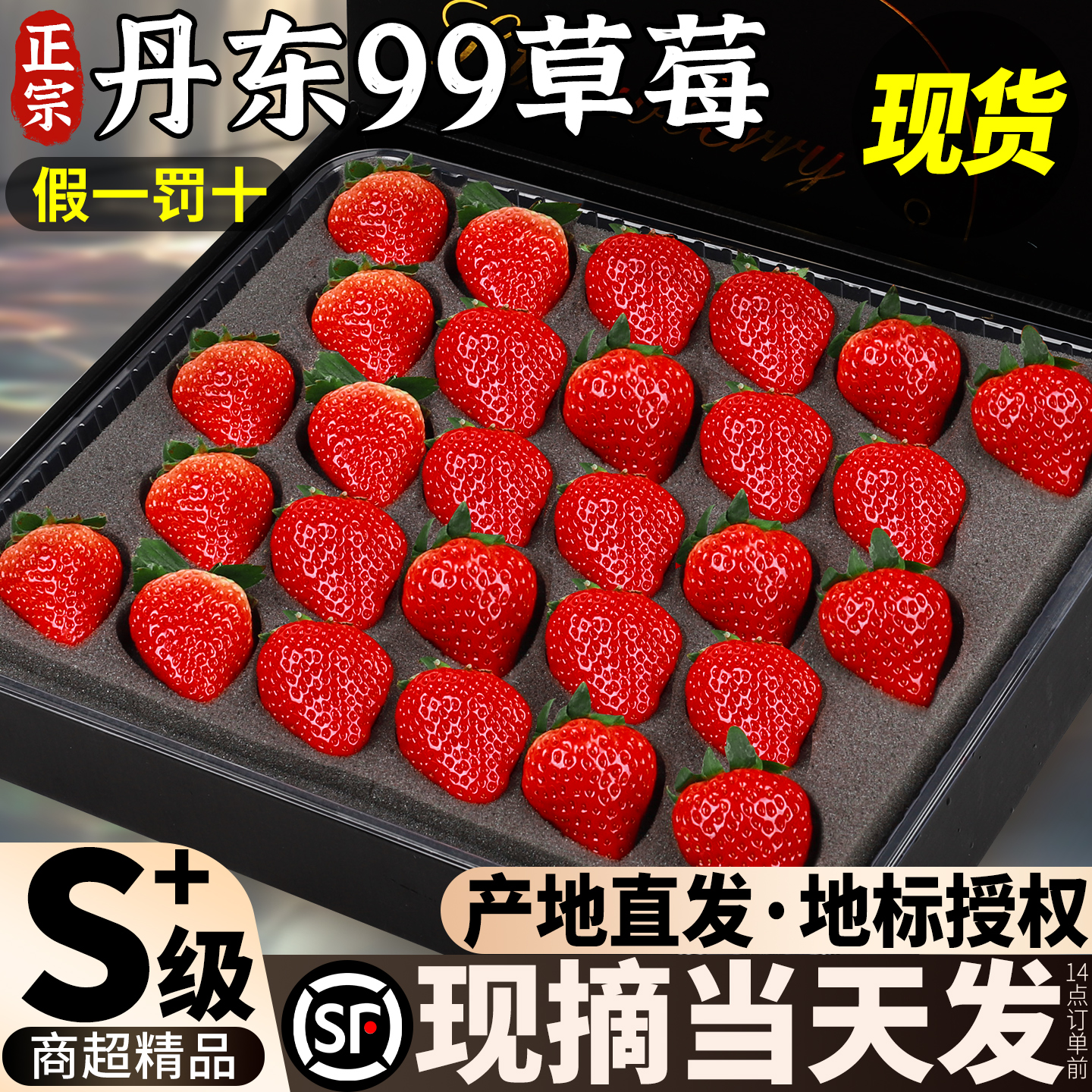 现货产地直发丹东99草莓40g+