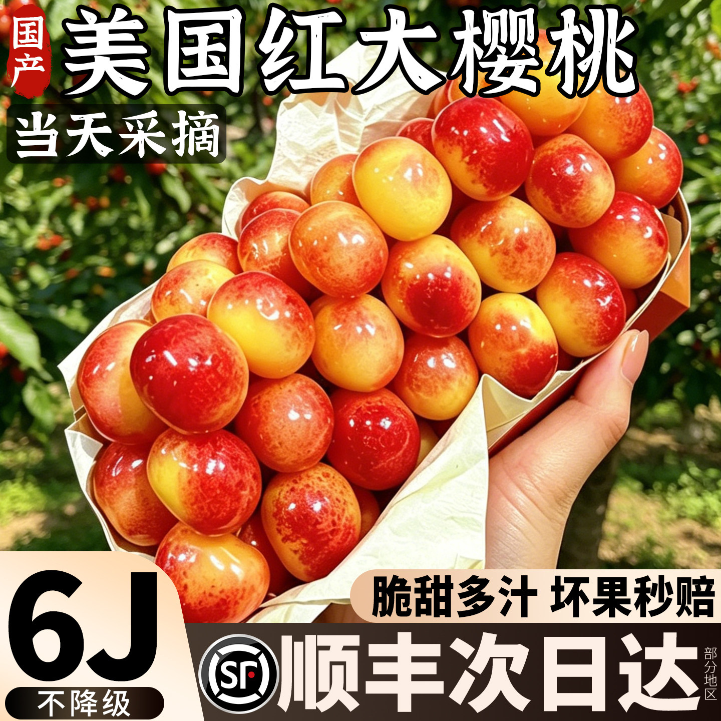 空运次日达丨凯迪雷拉佳红樱桃