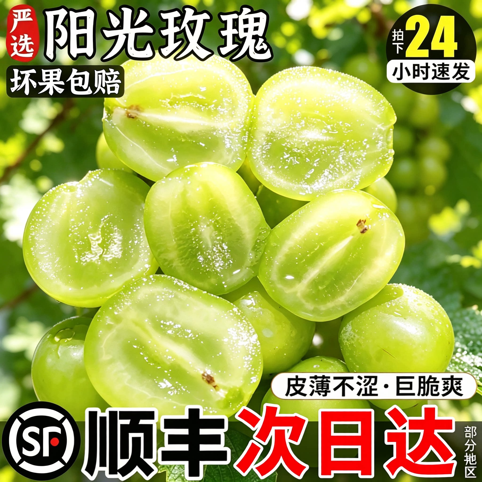 顺丰次日达丨TOP级产区阳光玫瑰