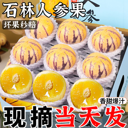 【24h速发】七彩人生果~黄肉熟果