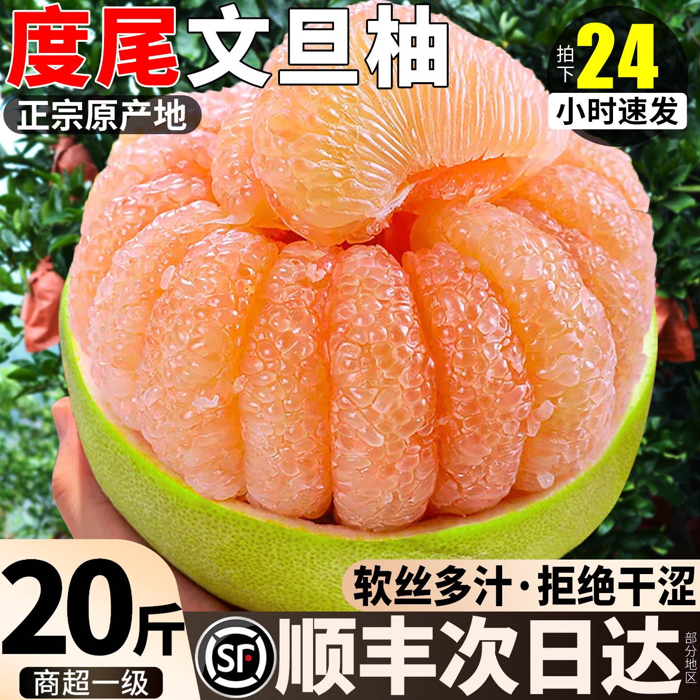 顺丰正宗福建度尾文旦柚皮薄爆汁