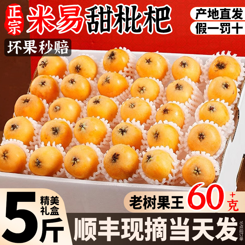 顺丰 5斤正宗米易枇杷鲜果新鲜枇杷果水果整箱琵琶五星甜当季礼盒