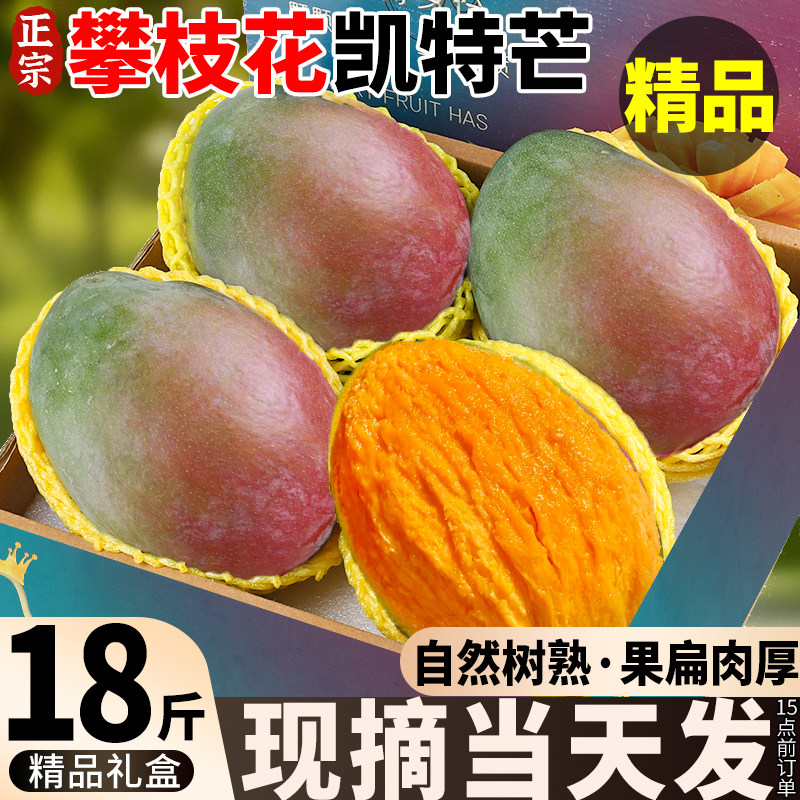 凯特芒果丨比脸还大丨树上熟果王
