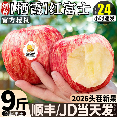 【包脆包甜】正宗烟台红富士