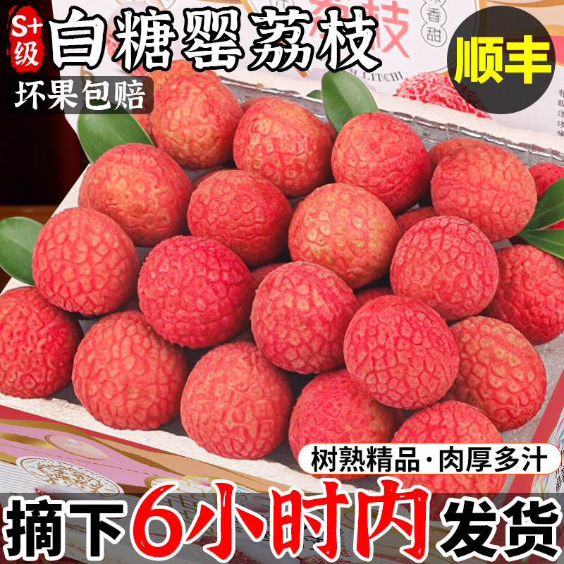 顺丰 白糖罂荔枝新鲜现摘现发广东现摘10斤大果整箱礼盒顺丰包邮