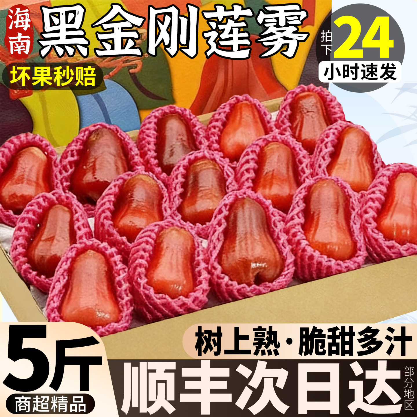 顺丰礼盒 5斤海南黑金刚莲雾新鲜水果当季脆甜热带大果孕妇一级果