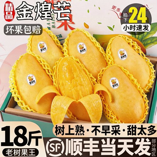 顺丰次日达丨当季树上熟金煌芒