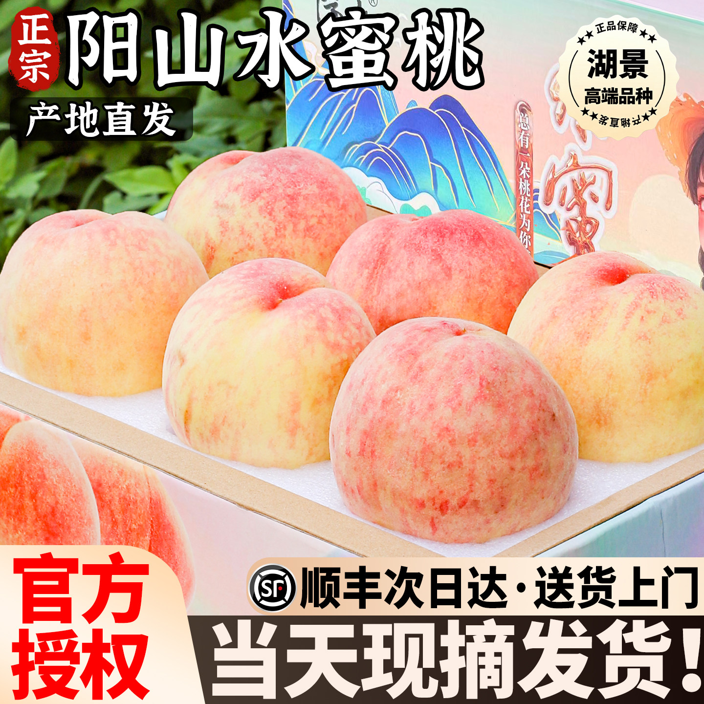 顺丰包邮/正宗阳山水蜜桃