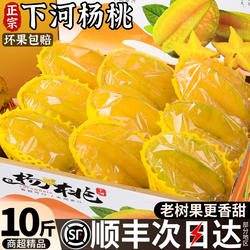 顺丰正宗下河杨桃10斤新鲜水果树熟现摘大果福建产地直发包邮礼箱
