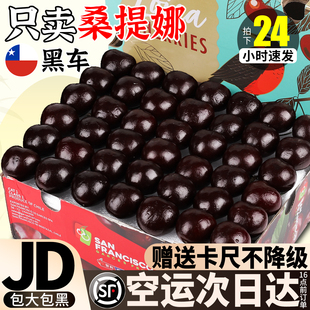 真顺丰空运 5JD桑提娜5斤智利车厘子新鲜水果礼盒黑 带卡尺不降级