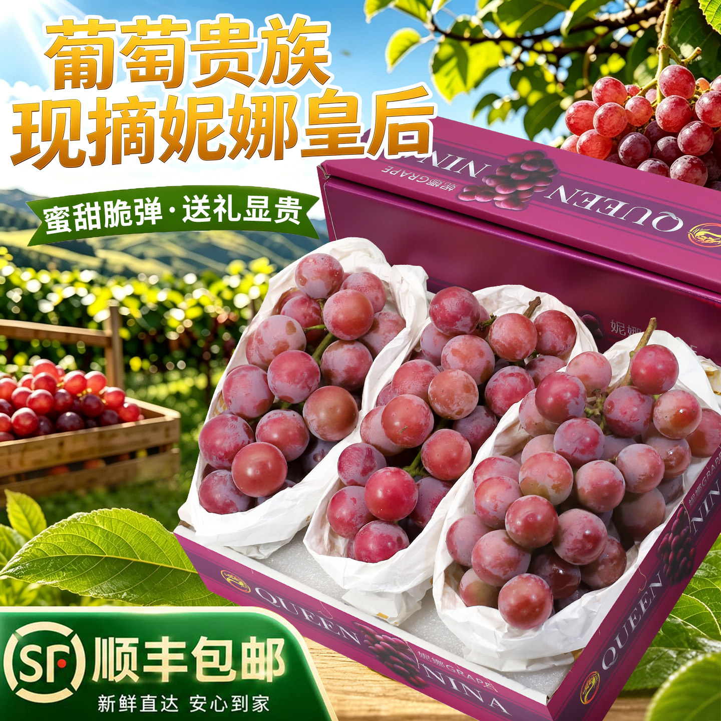 顺丰次日达丨妮娜皇后葡萄4斤
