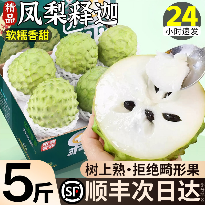 顺丰次日达释迦果高端品种