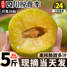 正宗四川脱骨李新鲜水果特大果应季酸甜蜂糖青脆李子现摘现发包邮