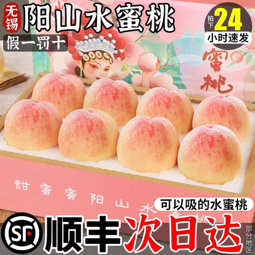 阳山水蜜桃官方授权品质保障