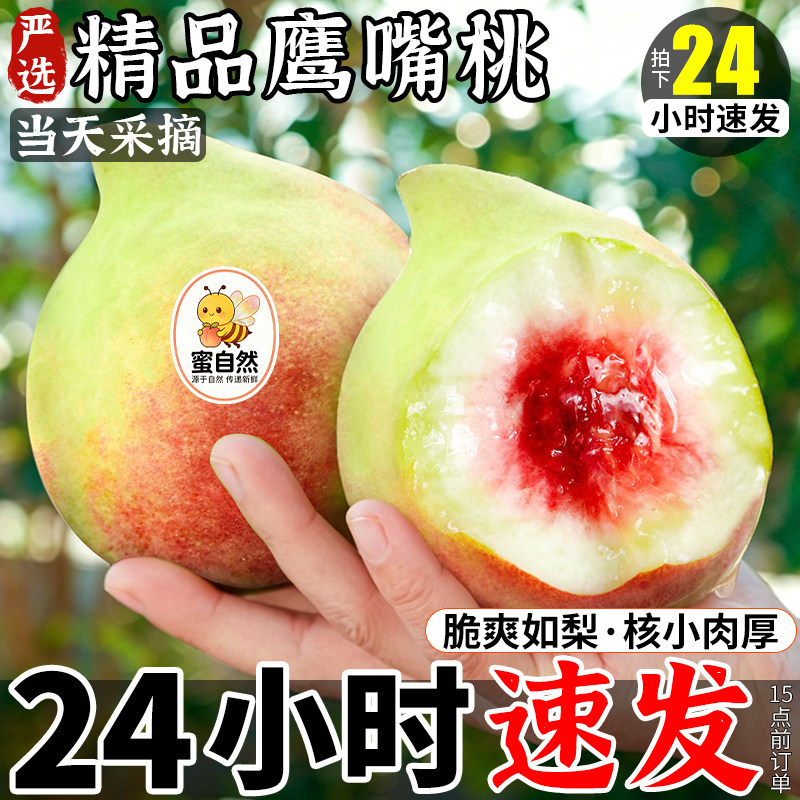顺丰包邮|产地直发|正宗鹰嘴桃