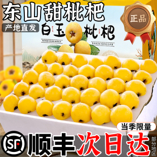 顺丰空运正宗东山精品白玉枇杷鲜果高端水果新鲜现摘5斤礼盒苏州