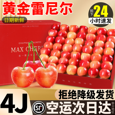 高端品质|顺丰黄金小溏豆雷尼尔