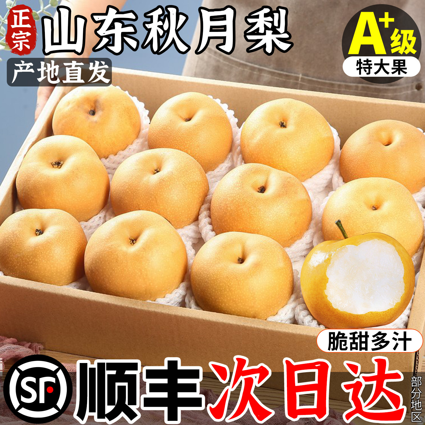 正宗莱阳秋月梨新鲜水果正品山东梨孕妇应季当季整箱限定礼盒顺丰,水产肉类/新鲜蔬果/熟食,梨,淘宝优惠券,粉丝福利购,淘宝优惠卷