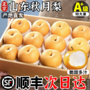 整箱限定礼盒顺丰 当季 正宗莱阳秋月梨新鲜水果正品 山东梨孕妇应季