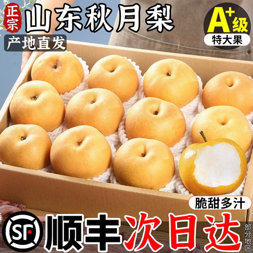 【产地授权假一罚十】正宗秋月梨