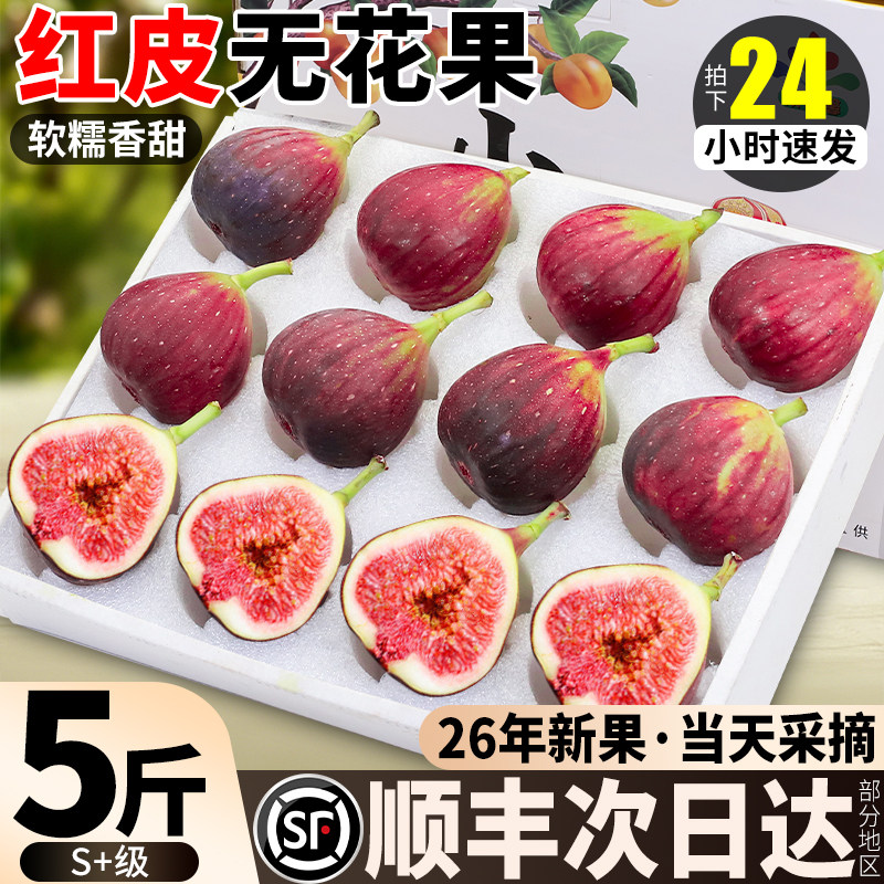四川无花果丨树上糖包子