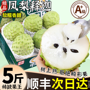 顺丰牛奶凤梨释迦果5斤新鲜水果当季现摘林檎番荔枝佛头果礼盒