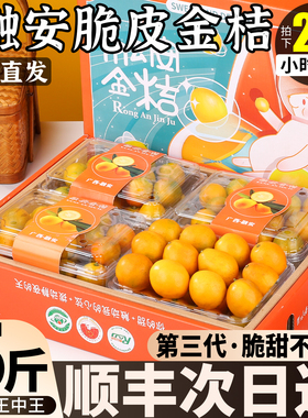 顺丰广西融安脆皮金桔口感纯甜皮脆新鲜应季水果二代金桔5斤礼盒