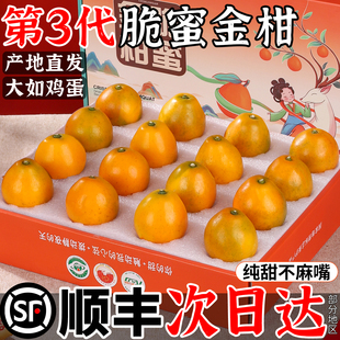 顺丰正宗融安脆蜜金柑新鲜时令水果鲜果橘子金桔整箱礼盒5包邮斤
