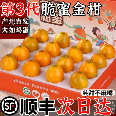 【顺丰次日达】脆蜜金柑贼大贼甜