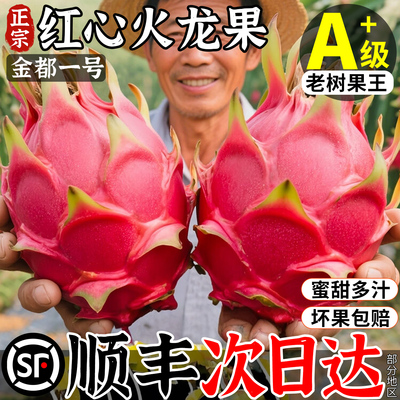 【现摘现发超新鲜】红心火龙果