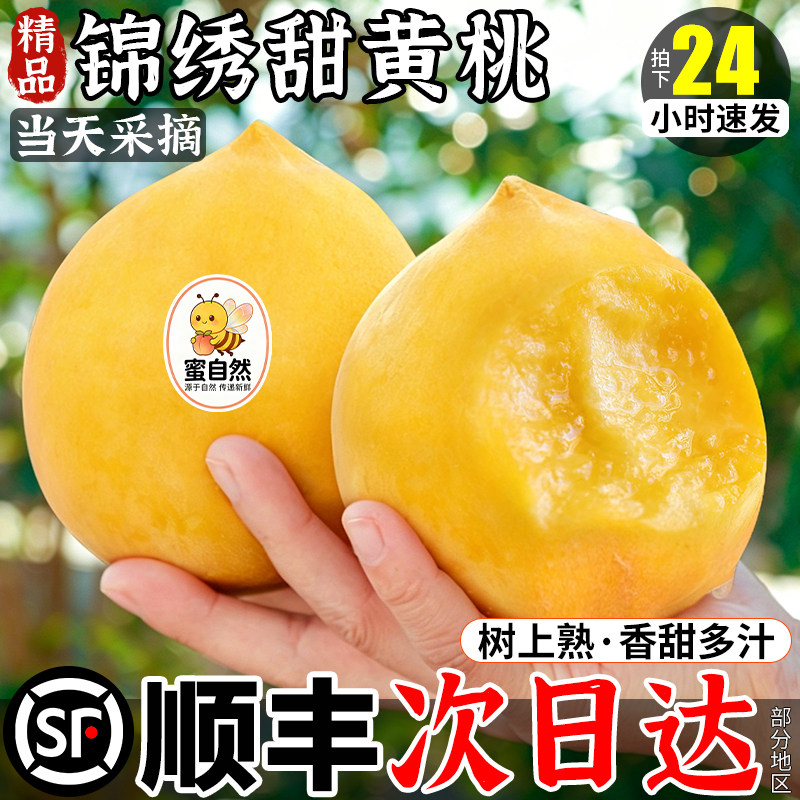 顺丰次日达丨现摘现发黄金蜜桃