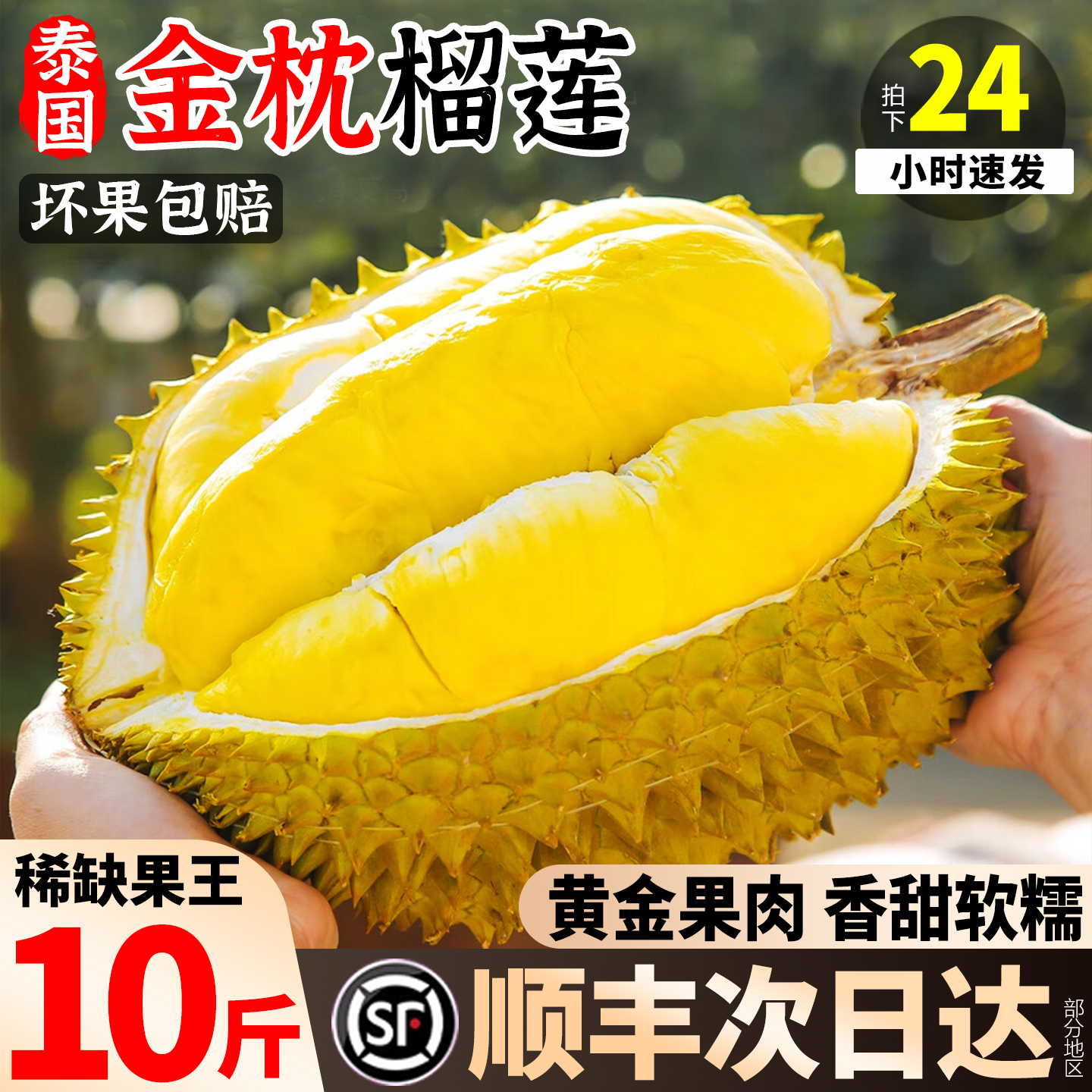 包4房！顺丰次日达金枕榴莲