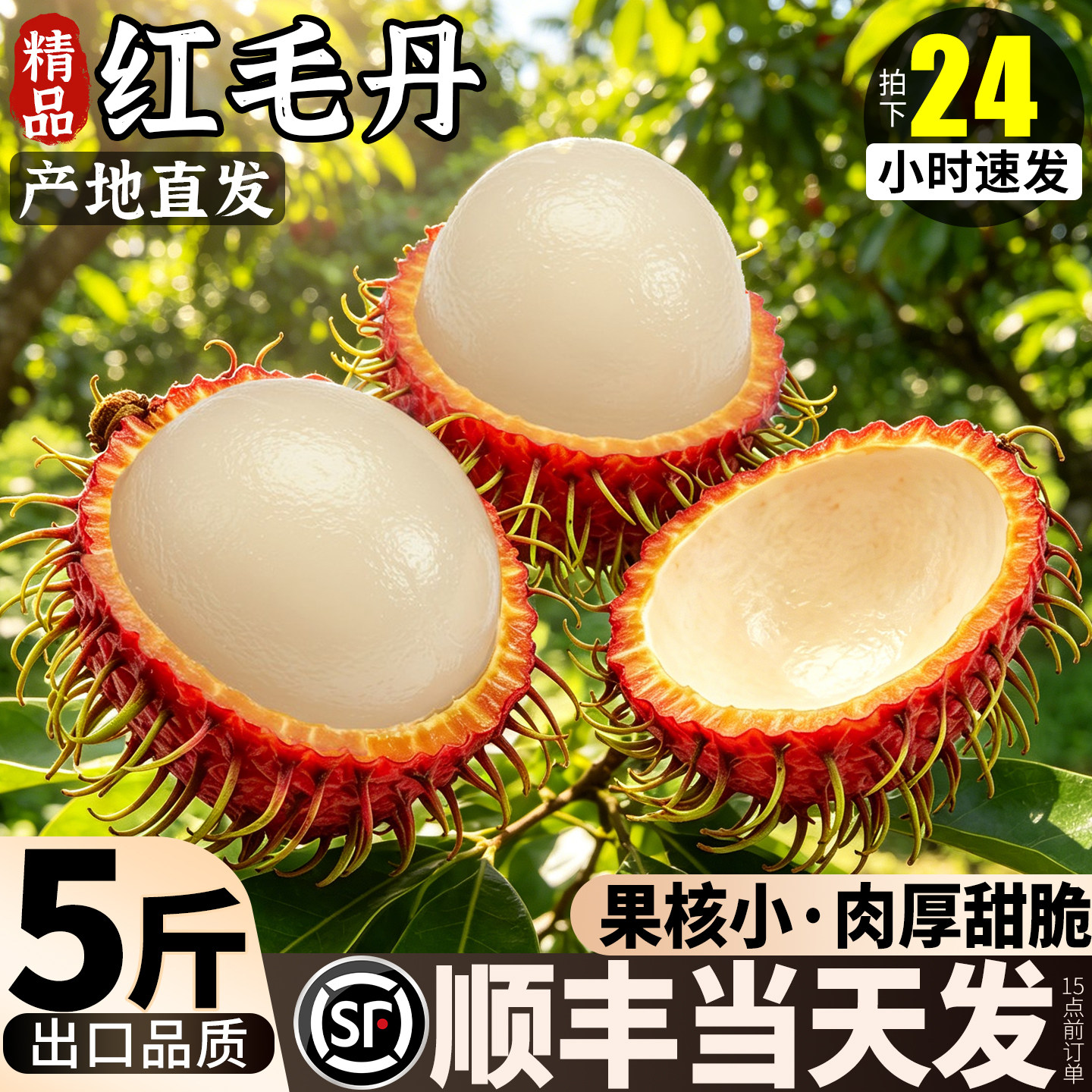 红毛丹海南新鲜水果保亭毛荔枝5斤鲜果礼盒现摘现发整箱顺丰包邮