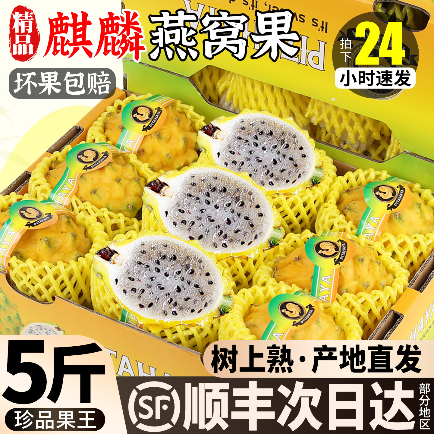燕窝果麒麟果白心火龙果正品官方旗舰店5斤当季现摘整箱礼盒顺丰