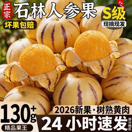 现摘次日达丨树熟石林人参果黄肉